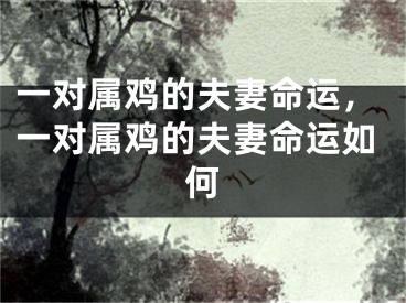 一对属鸡的夫妻命运，一对属鸡的夫妻命运如何