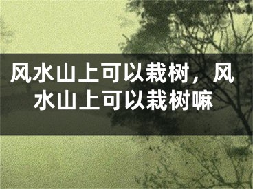 风水山上可以栽树,风水山上可以栽树嘛