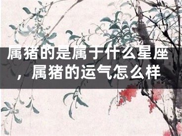 属猪的是属于什么星座，属猪的运气怎么样