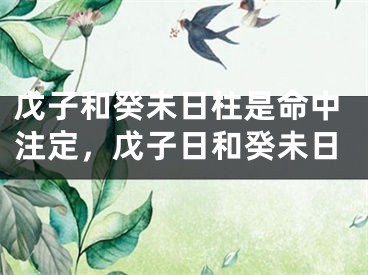 戊子和癸未日柱是命中注定，戊子日和癸未日