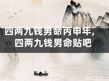 四两九钱男命丙申年,四两九钱男命贴吧