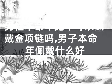 男性本命年兔年可以佩戴金项链吗,男子本命年佩戴什么好