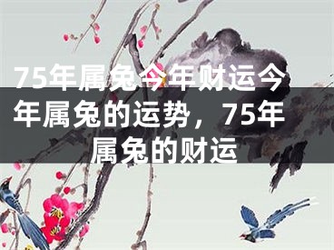 75年属兔今年财运今年属兔的运势，75年属兔的财运