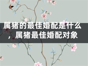 属猪的最佳婚配是什么，属猪最佳婚配对象