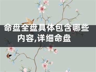 命盘全盘具体包含哪些内容,详细命盘