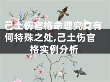 己土伤官格命理究竟有何特殊之处,己土伤官格实例分析