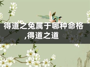 得道之兔属于哪种命格,得道之道