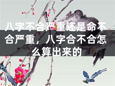 八字不合严重还是命不合严重，八字合不合怎么算出来的