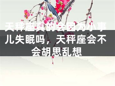天秤座真的会因为小事儿失眠吗，天秤座会不会胡思乱想