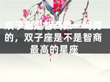双子座是智商第一吗男的,双子座是不是智商最高的星座
