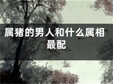 属猪的男人和什么属相最配