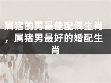属猪的男最佳配偶生肖，属猪男最好的婚配生肖