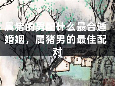 属猪的男配什么最合适婚姻，属猪男的最佳配对