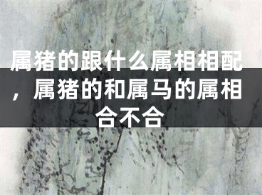 属猪的跟什么属相相配，属猪的和属马的属相合不合