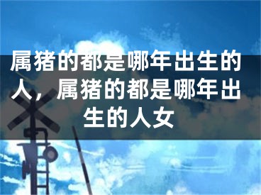 属猪的都是哪年出生的人，属猪的都是哪年出生的人女