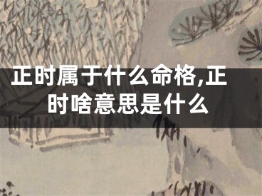 正时属于什么命格,正时啥意思是什么