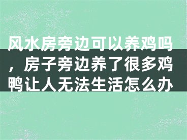 风水房旁边可以养鸡吗，房子旁边养了很多鸡鸭让人无法生活怎么办