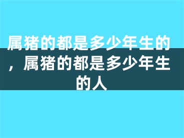 属猪的都是多少年生的，属猪的都是多少年生的人