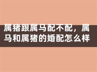 属猪跟属马配不配，属马和属猪的婚配怎么样