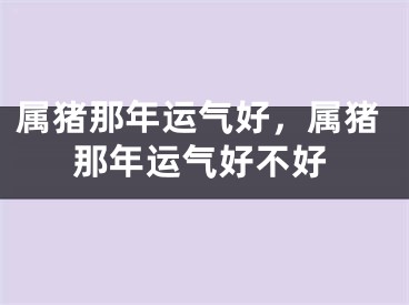 属猪那年运气好，属猪那年运气好不好