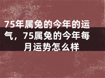 75年属兔的今年的运气，75属兔的今年每月运势怎么样