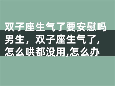 双子座生气了要安慰吗男生，双子座生气了,怎么哄都没用,怎么办