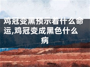 鸡冠变黑预示着什么命运,鸡冠变成黑色什么病