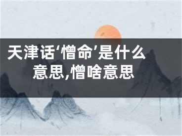 天津话‘憎命’是什么意思,憎啥意思