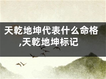 天乾地坤代表什么命格,天乾地坤标记