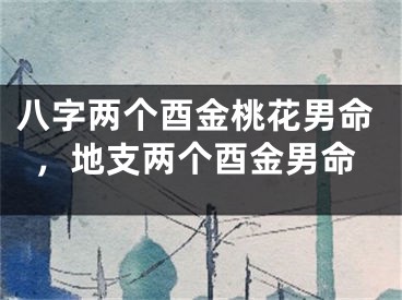 八字两个酉金桃花男命，地支两个酉金男命