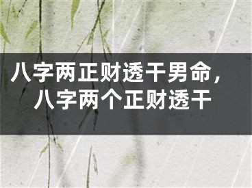 八字两正财透干男命，八字两个正财透干