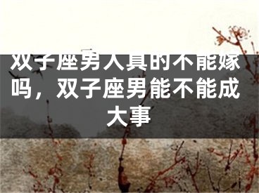 双子座男人真的不能嫁吗，双子座男能不能成大事