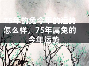 75年的兔今年的运势怎么样，75年属兔的今年运势
