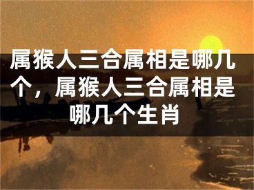 属猴人三合属相是哪几个，属猴人三合属相是哪几个生肖