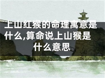 上山红猴的命理寓意是什么,算命说上山猴是什么意思