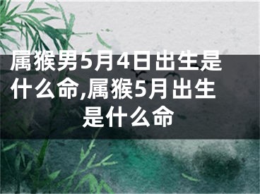 属猴男5月4日出生是什么命,属猴5月出生是什么命