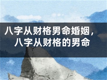 八字从财格男命婚姻，八字从财格的男命