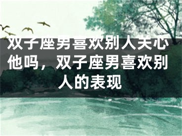 双子座男喜欢别人关心他吗，双子座男喜欢别人的表现