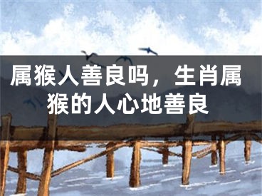 属猴人善良吗，生肖属猴的人心地善良