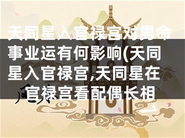 天同星入官禄宫对男命事业运有何影响(天同星入官禄宫,天同星在官禄宫看配偶长相