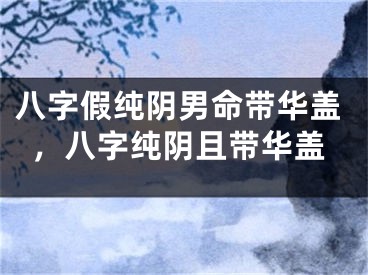 八字假纯阴男命带华盖，八字纯阴且带华盖