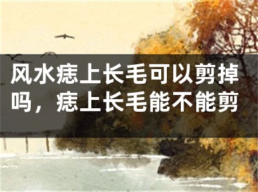 风水痣上长毛可以剪掉吗，痣上长毛能不能剪