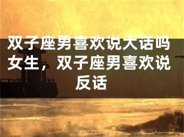双子座男喜欢说大话吗女生，双子座男喜欢说反话