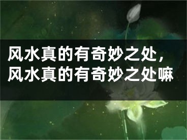 风水真的有奇妙之处，风水真的有奇妙之处嘛