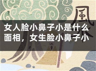 女人脸小鼻子小是什么面相,女生脸小鼻子小