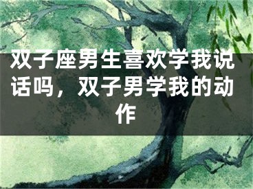 双子座男生喜欢学我说话吗，双子男学我的动作