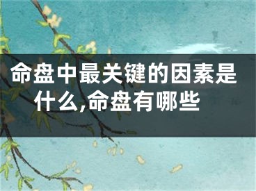 命盘中最关键的因素是什么,命盘有哪些