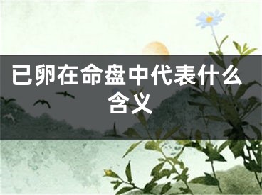已卵在命盘中代表什么含义