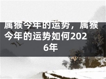 属猴今年的运势，属猴今年的运势如何2026年