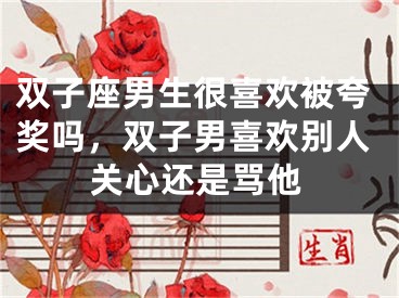 双子座男生很喜欢被夸奖吗，双子男喜欢别人关心还是骂他